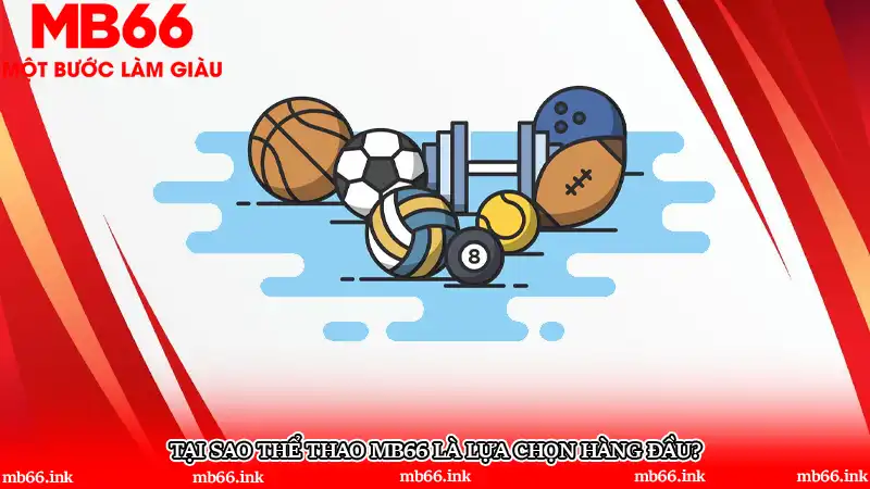 Tại sao Thể thao MB66 là lựa chọn hàng đầu?